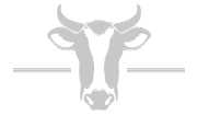 Tête de vache