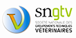 Logo SNGTV
